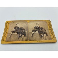 Antique Stereoview H.H. Bennett Wisconsin Scenery 79 Protection Child Large Dog picture