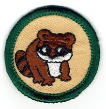 JUNIOR Girl Scout Patch Badge Green Round-- WILDLIFE Animals Raccoon Nature picture