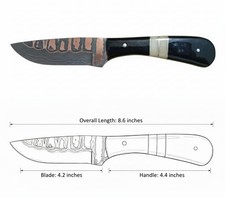 8.6