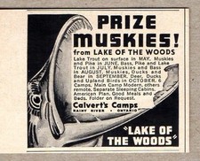 1957 Print Ad Prize Muskies Lake of Woods Calverts Camps Rainy River Ontario,Can picture