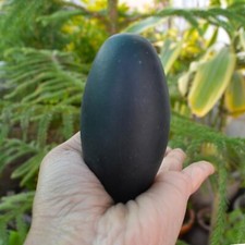 Black Shiva Lingam Black 3