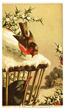 postcard A Chilly Christmas with birds-reproduction from antique card A2294 picture