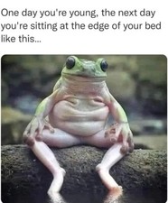 Funny  old age  Frog refrigerator magnet 3 1/2x 3 1/2 picture