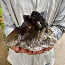 1.54LB Natural Black Smoky Quartz Crystal Cluster Raw Mineral Specimen picture