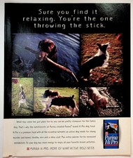 Purina Hi Pro 1996 Original Print Advertisement 9x11 Dog Food picture