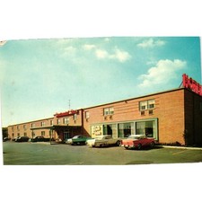 VTG Continental Inn Postcard Buffalo NY Route 384 Motel 1950s Cars Dexter Press picture