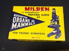 12 VTG MILBEN SCIENTIFICALLY PREPARED SLIDES FOR ORGANS OF MAMMALS No#711 JAPAN picture