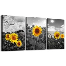 Canvas Wall Art Black and White Sunflower 16x24 3 Piece picture