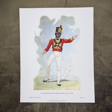 Plate 977 Military Uniforms in America 2d West India Regiment, Private Battalion picture