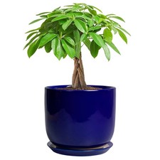 Ceramic Flower Pot 7 Inch - Cylinder 7 Inch Round Planter for Cactus Orchid P... picture