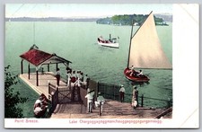 Point Breeze Lake Chargoggagoggmanchauggagoggagungamaugg MA Postcard AA692 picture