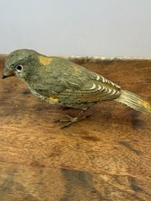 Antique Vienna Bronze European Greenfinch Cold Painted Austrian Bird c1900 picture