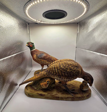Andrea by Sadek Hand Painted Signed Ceramic Pheasant Figurines Set of 2 picture