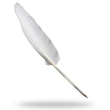 Fancy White Goose Feather Pen Black Ink Ballpoint Wedding, Office, Signing Quill picture