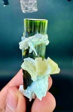 Natural Green Cap Tourmaline Crystal With Albite Specimen 180 CTS @ Minerals picture