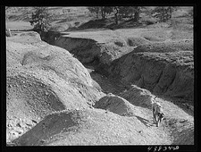 Photo:Heard County Georgia 1941 Erosion Gully Farm Land picture