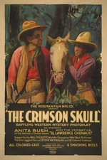 🌟 The Crimson Skull (1922) Western Movie Poster - 24x36” - Premium Matte Paper picture
