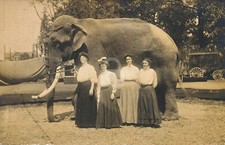 Four Women with White Bouses Pose with Elephant RPPC Postcard Copy picture
