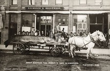Great Northern pike Lake Le Homme Dieu Alexandria MN 1908 RPPC ostcard COPY picture