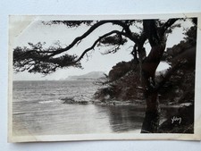 Vintage Yvon RPPC Porquerolles France Côte d’Azur Pointe Prime Postcard picture