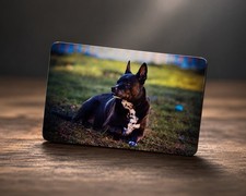 Custom Photo  Refrigerator Magnets - Metal Backs 2 X 3 picture