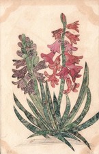 1912 Antique Stamp Collage Postcard Hyacinth Flowers French Back UK US Stamps picture