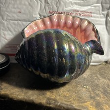 Vintage Clam Shell Art picture