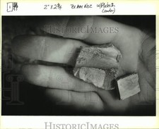 1993 Press Photo Piseros Plantation - Artifact Found at Site, Louisiana picture