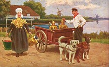 Holland Dogs Pulling Milk Cart Vintage Postcard John Gerstenhauer 1910 Unposted picture