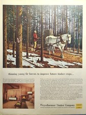 Weyerhaeuser Timber Co. Tacoma WA Draft Horse Skidding Log Vintage Print Ad 1958 picture
