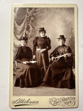 IRON MOUNTAIN MICHIGAN WOMEN Guitar Musician Funny Hats 1890S CABINET CARD Photo picture