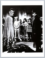 Publicity B & W Photo The Green Hornet Van Williams Victor Milan c. 1960s 8 x 10 picture
