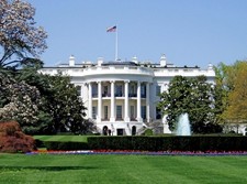 White House South Lawn Washington DC Photo Reprint Wall Art picture