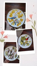 Gorgeous Lot Set 3 Vintage Franklin Audubon Plate Songbirds Of The World 10.75” picture