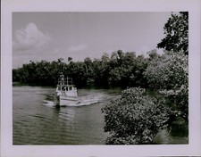 LG824 1954 Original Photo AUDOBON WILDLIFE TOURS Everglades National Park Boat picture