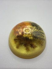 Vintage 1970’s Dried  Flowers Resin Dome Paperweight picture