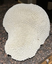 VTG Large Natural White Brain Coral Specimen Coastal Nautical Decor 11” 9 lbs picture