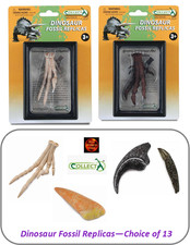 Dinosaur Fossil Replicas by CollectA in display case - Tooth, Foot, Finger, Claw picture