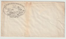Antique Humorous Cover Chicken Salt Chase “If You Can’t Catch Him” Unused picture