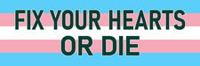 Fix Your Hearts or Die Sticker 3x9 Trans Slogan Motto Transgender Flag Stickers picture
