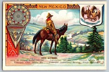 c1912 NEW MEXICO State Tip-Top Bread Premium Insert Trade Card Wolf Company US picture