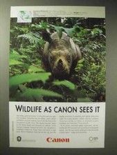 2005 Canon Ad - Sumatran Rhinoceros picture