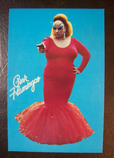 Divine PINK FLAMINGOS Blank Postcard 1982~JOHN WATERS~4 in x 6 in~UNUSED picture