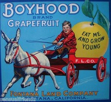  Fontana CA Boyhood Brand Grapefruit Citrus Fruit Crate Label Art Print   picture