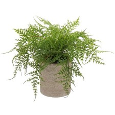 Briful Small Fake Plant Asparagus Ferns Plastic Faux in Pots Home Decor picture