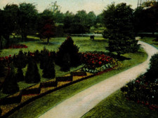 1909 Detroit Michigan Palmer Park Postcard cancel stamped posted picture