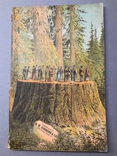 1883 booklet BEAUTIES OF CALIFORNIA Griswold - Yosemite San Francisco in color picture