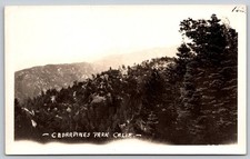 Vintage RPPC Cedarpines Park California Mountain Landscape Postcard C452 picture