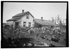 Oak Harbor Whidbey Island Washington Major Granville O. Haller House 1900s picture