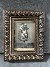 Vintage Cat Ephemera Newspaper Magazine Clipping Framed Art picture